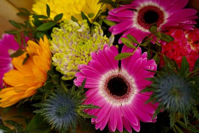 Summer and spray flowers