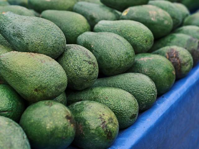Avocado
