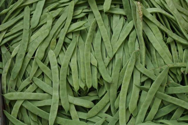 French beans