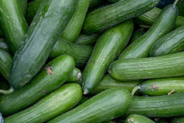 Cucumber